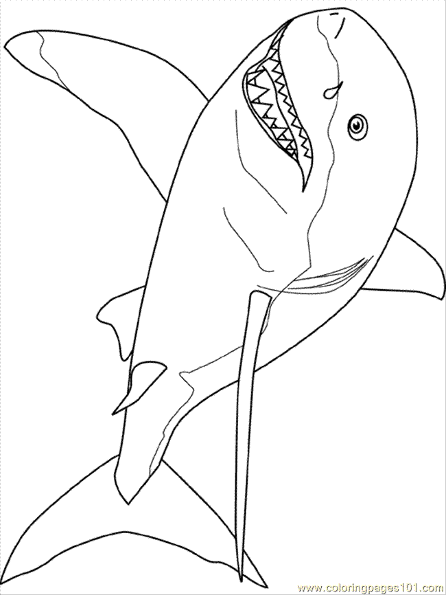 Great White Shark coloring #20, Download drawings