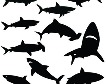 Great White Shark svg #9, Download drawings