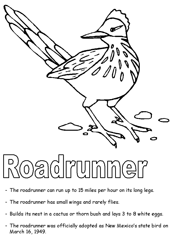 Greater Roadrunner coloring #20, Download drawings