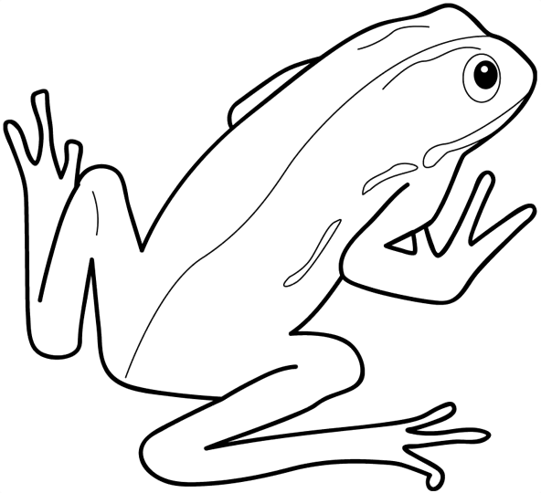 Green Frog coloring #5, Download drawings