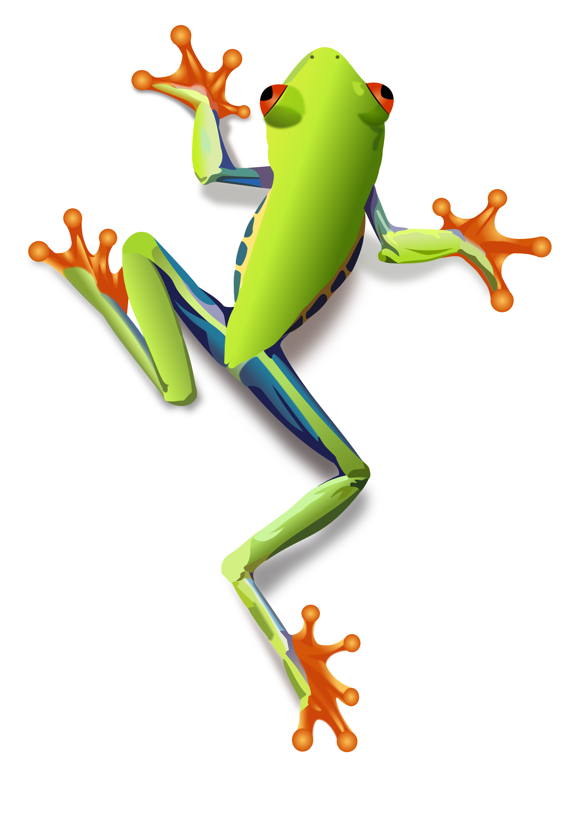 Red Eyed Tree Frog svg #7, Download drawings