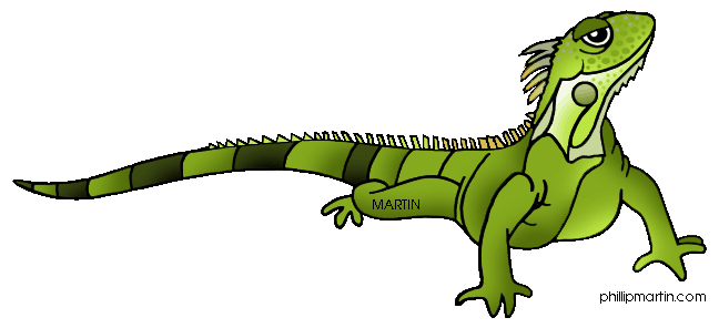 Green Iguana clipart #16, Download drawings