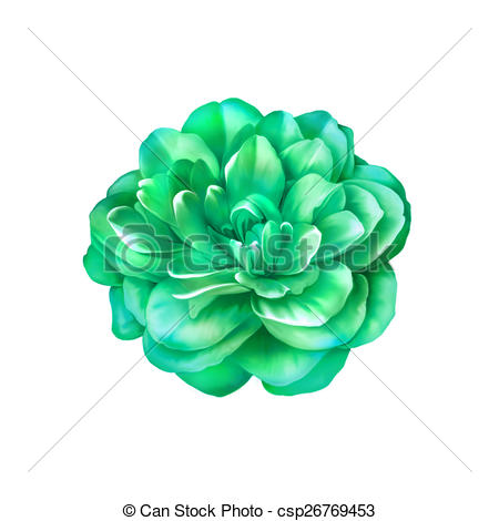 Green Rose clipart #11, Download drawings