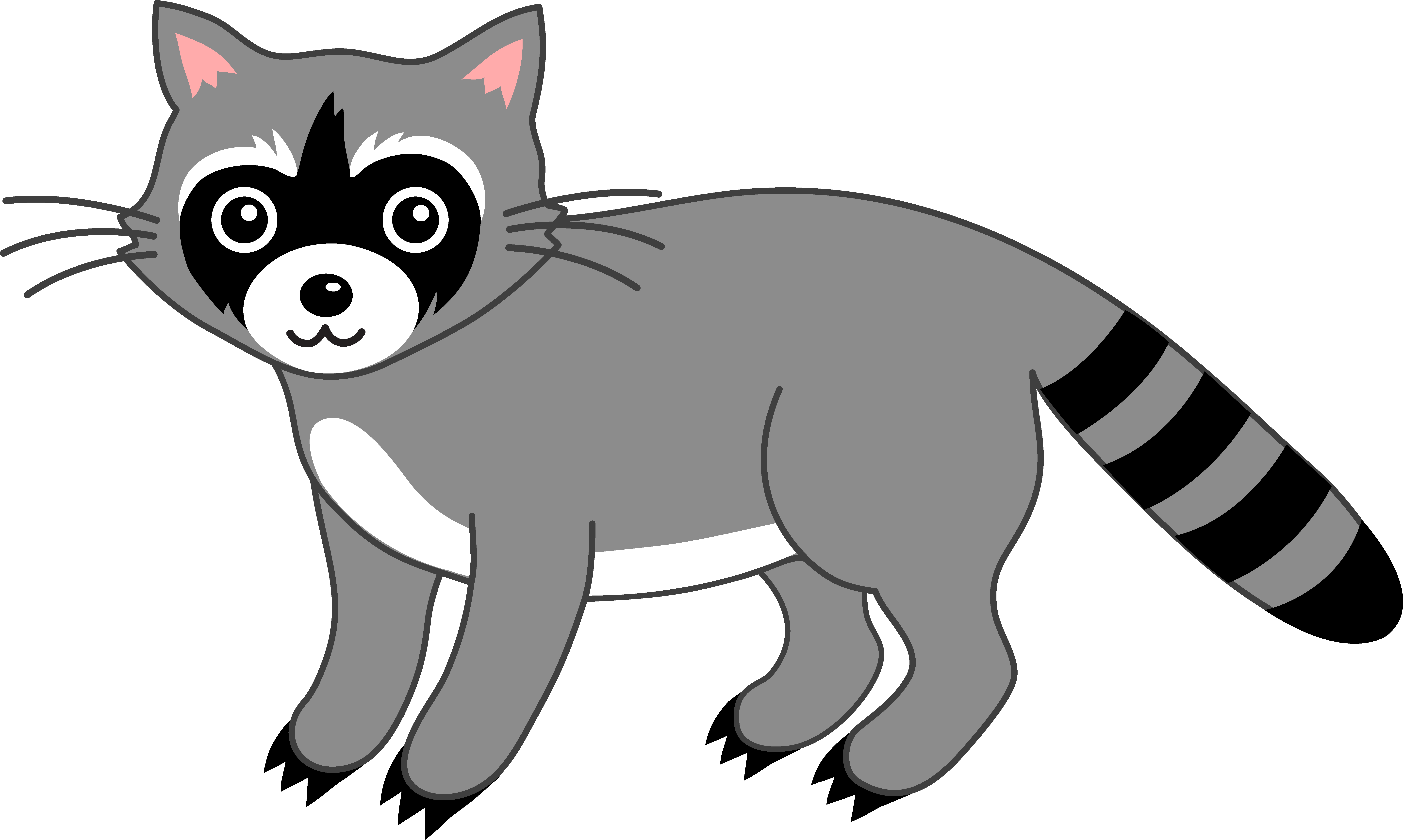Racoon clipart #9, Download drawings