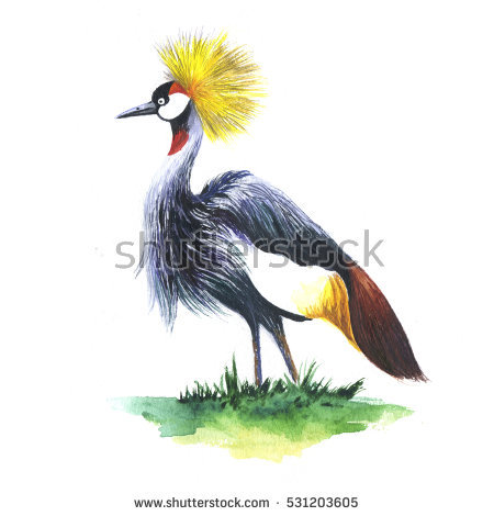 Grey Crowned Crane clipart #11, Download drawings