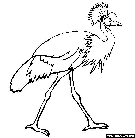 Grey Crowned Crane coloring #1, Download drawings