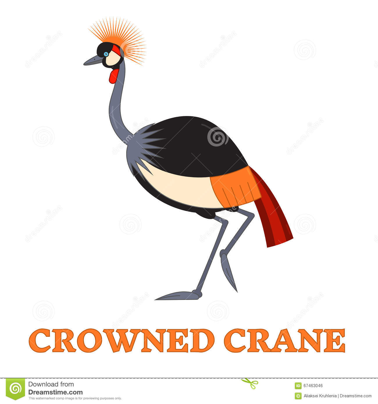 Grey Crowned Crane clipart #16, Download drawings