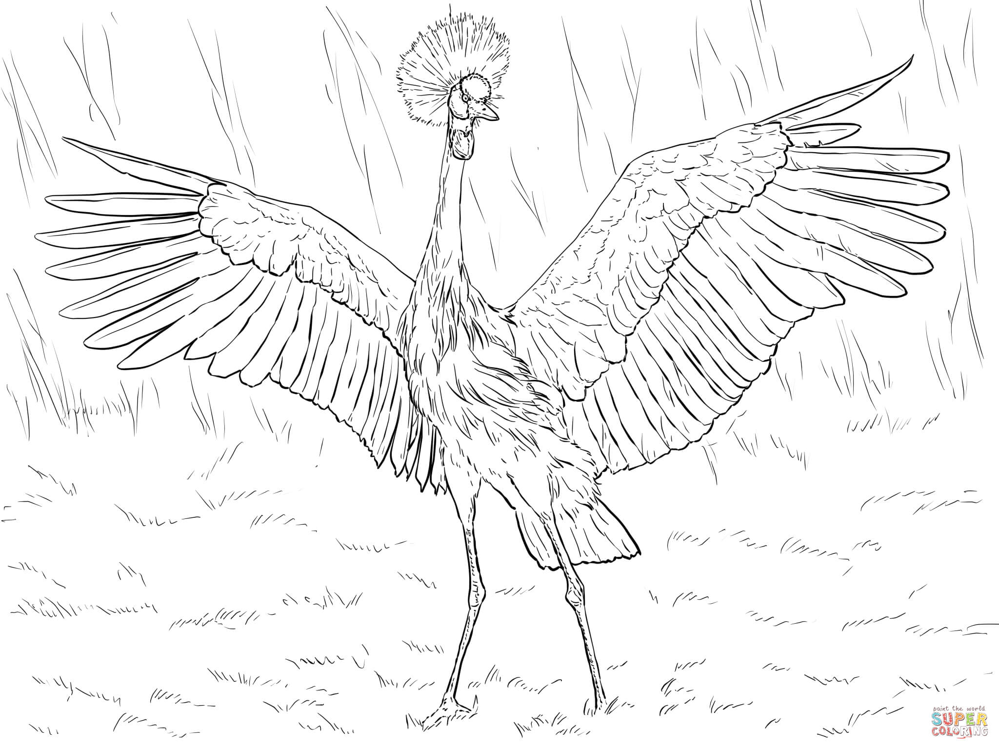 Grey Crowned Crane coloring #16, Download drawings