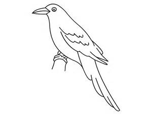 Grey Crowned Crane coloring #4, Download drawings