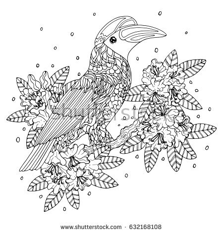 Grey Hornbill coloring #3, Download drawings