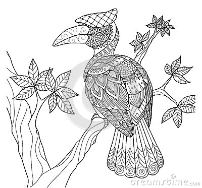 Grey Hornbill coloring #19, Download drawings