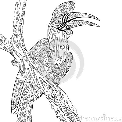 Grey Hornbill coloring #17, Download drawings