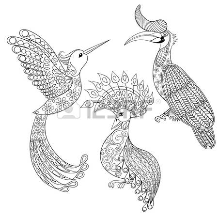Grey Hornbill coloring #12, Download drawings