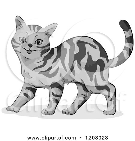 Grey Tabby clipart #13, Download drawings