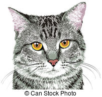 Grey Tabby clipart #7, Download drawings