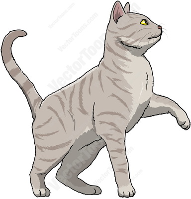 Grey Tabby clipart #4, Download drawings