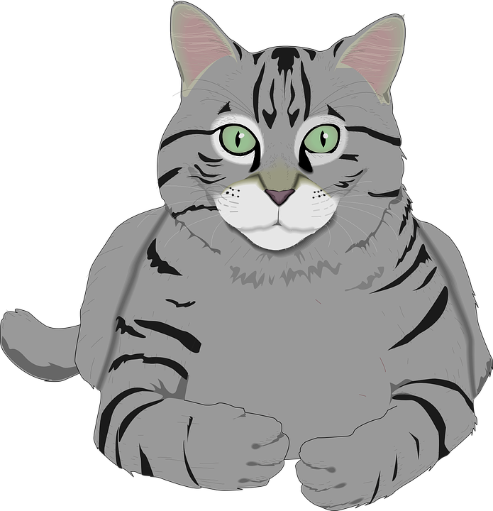 Grey Tabby clipart #3, Download drawings
