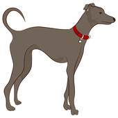 Greyhound clipart #19, Download drawings