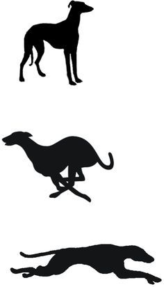 Greyhound clipart #15, Download drawings