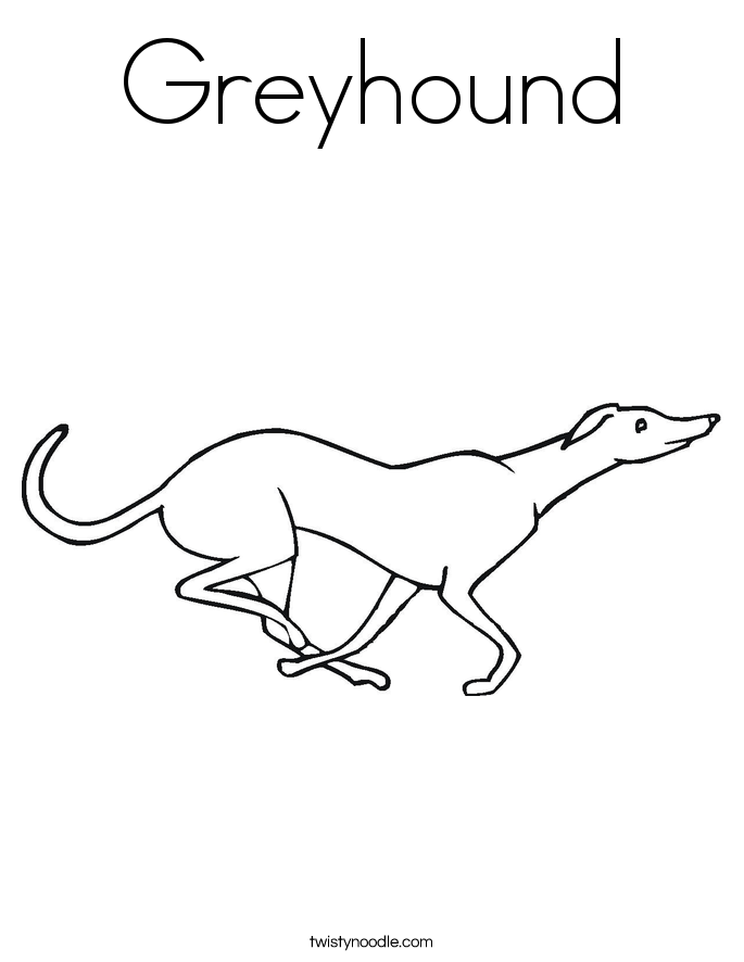 Greyhound coloring #3, Download drawings