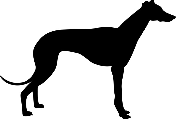 Greyhound svg #19, Download drawings