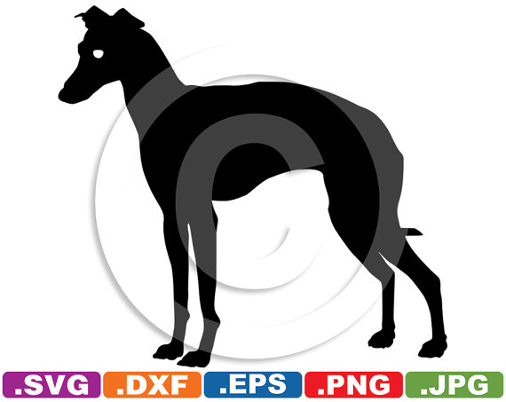 Greyhound svg #13, Download drawings