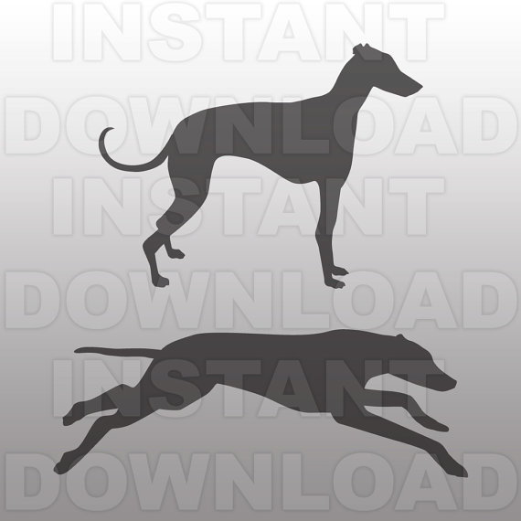 Greyhound svg #18, Download drawings