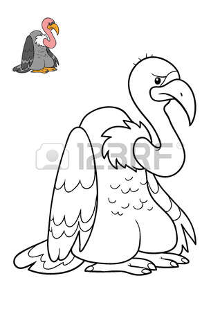 Griffon Vulture coloring #5, Download drawings
