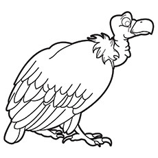 Vulture coloring #1, Download drawings