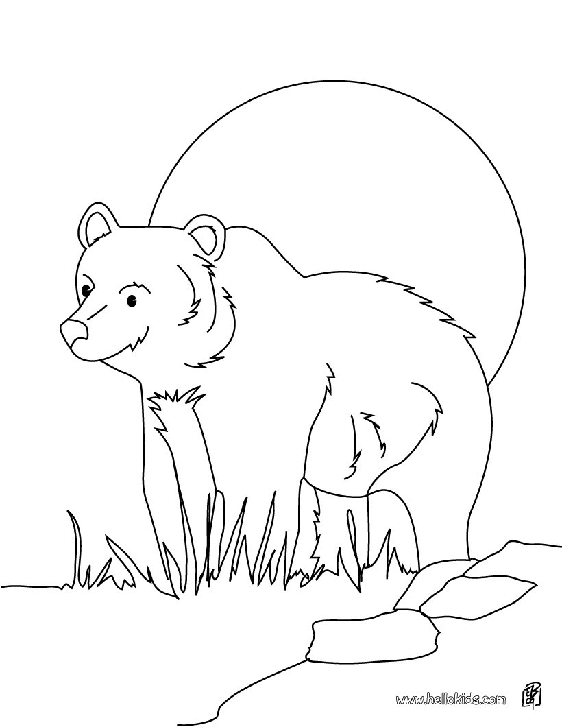 Grizzly coloring #15, Download drawings