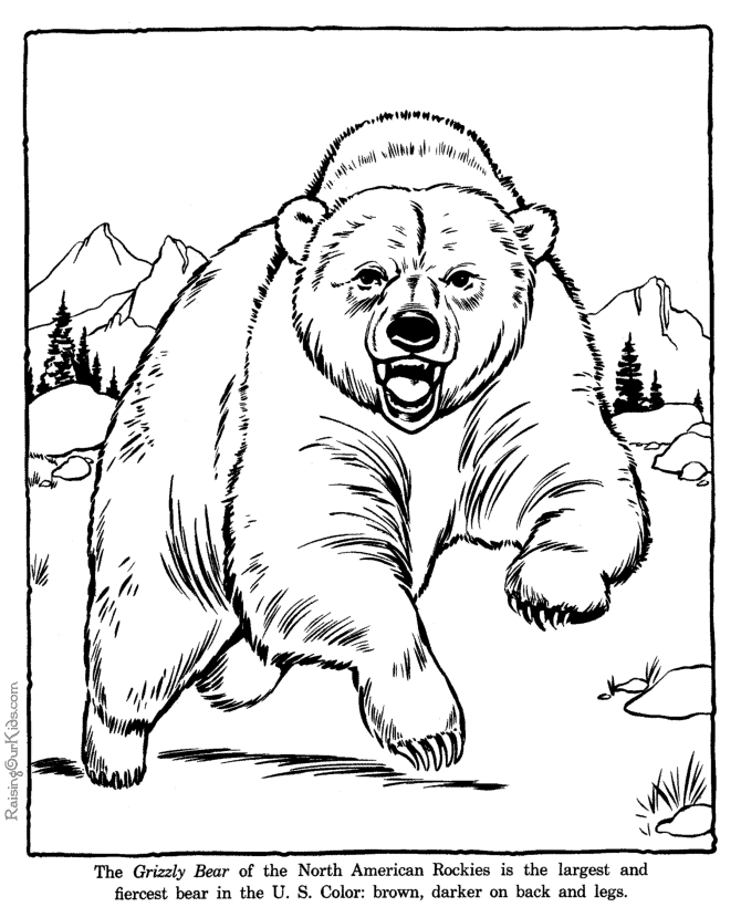 Grizzly coloring #20, Download drawings