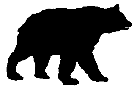 Grizzly clipart #11, Download drawings