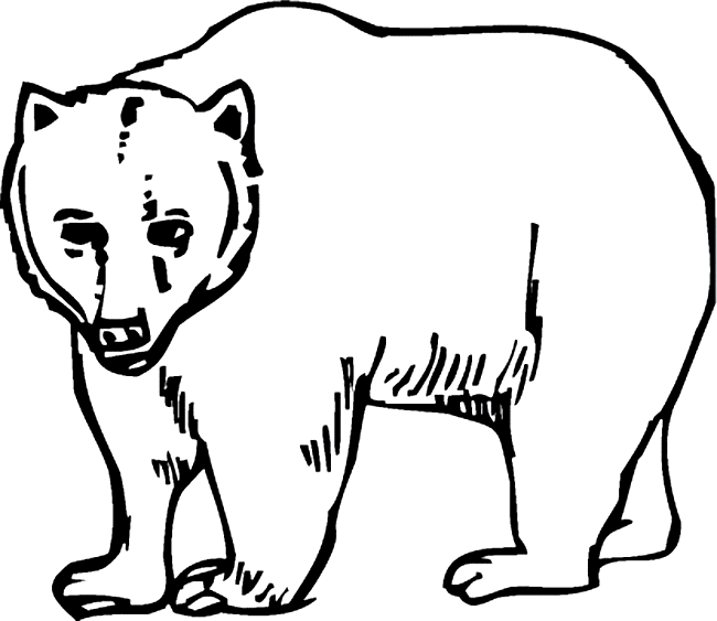Grizzly coloring #13, Download drawings