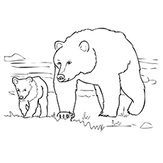 Grizzly coloring #2, Download drawings