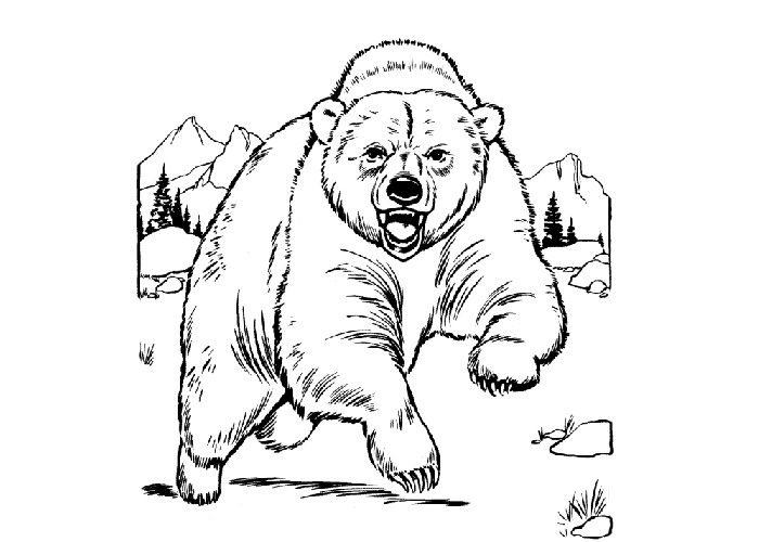 Grizzly Cubs coloring #12, Download drawings