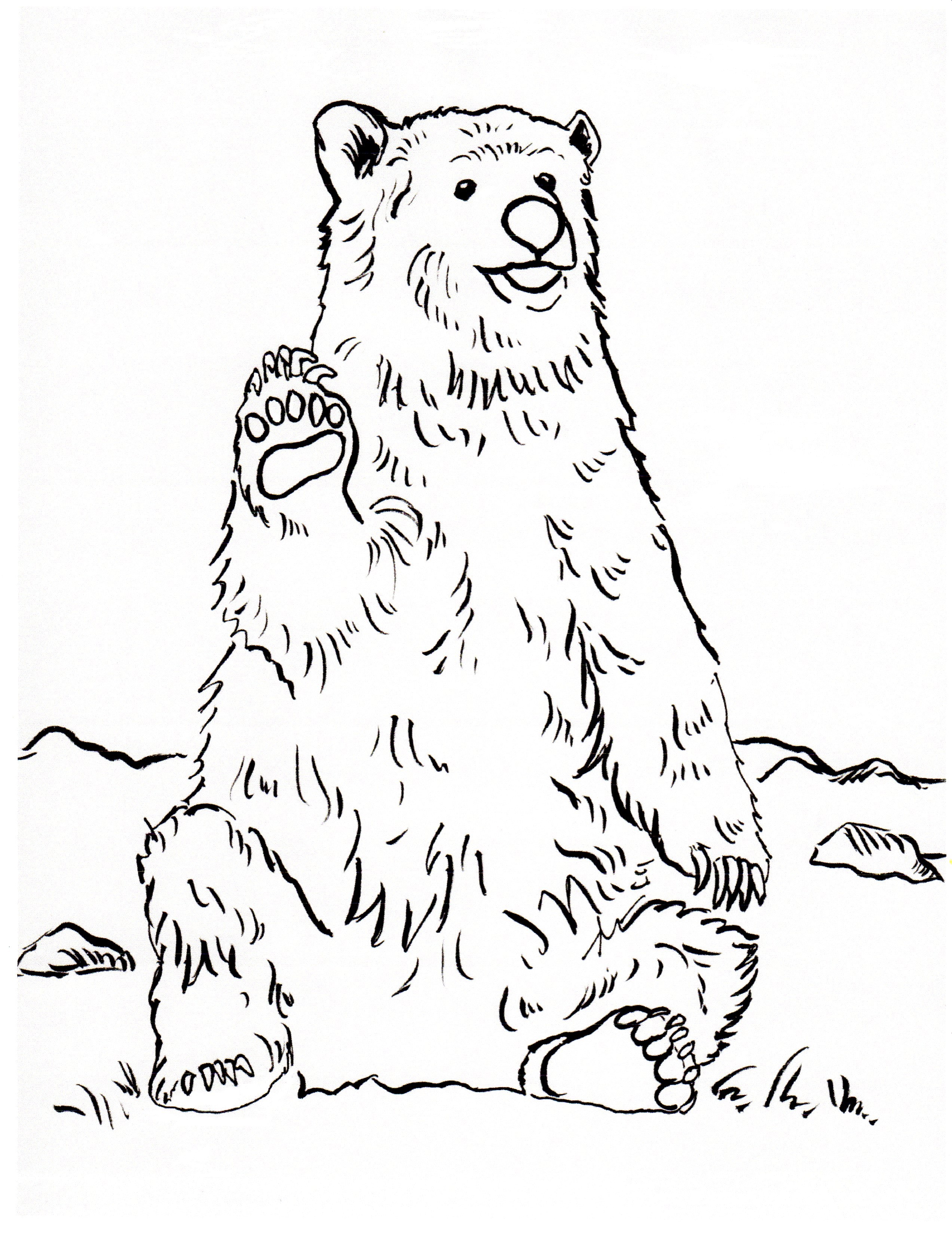 Grizzly Cubs coloring #5, Download drawings