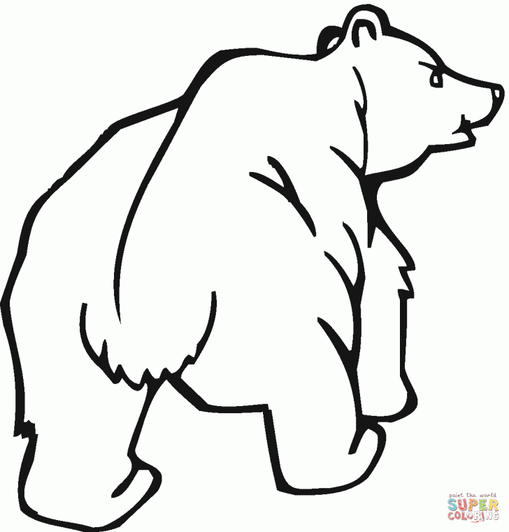 Grizzly Cubs coloring #13, Download drawings