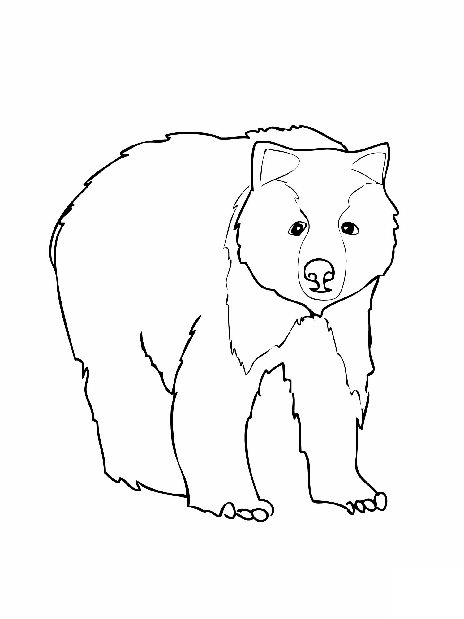 Grizzly Cubs coloring #2, Download drawings
