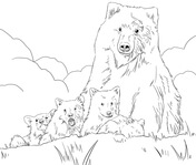 Grizzly Family coloring #11, Download drawings