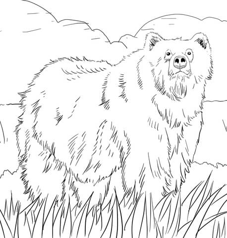 Grizzly Family coloring #15, Download drawings