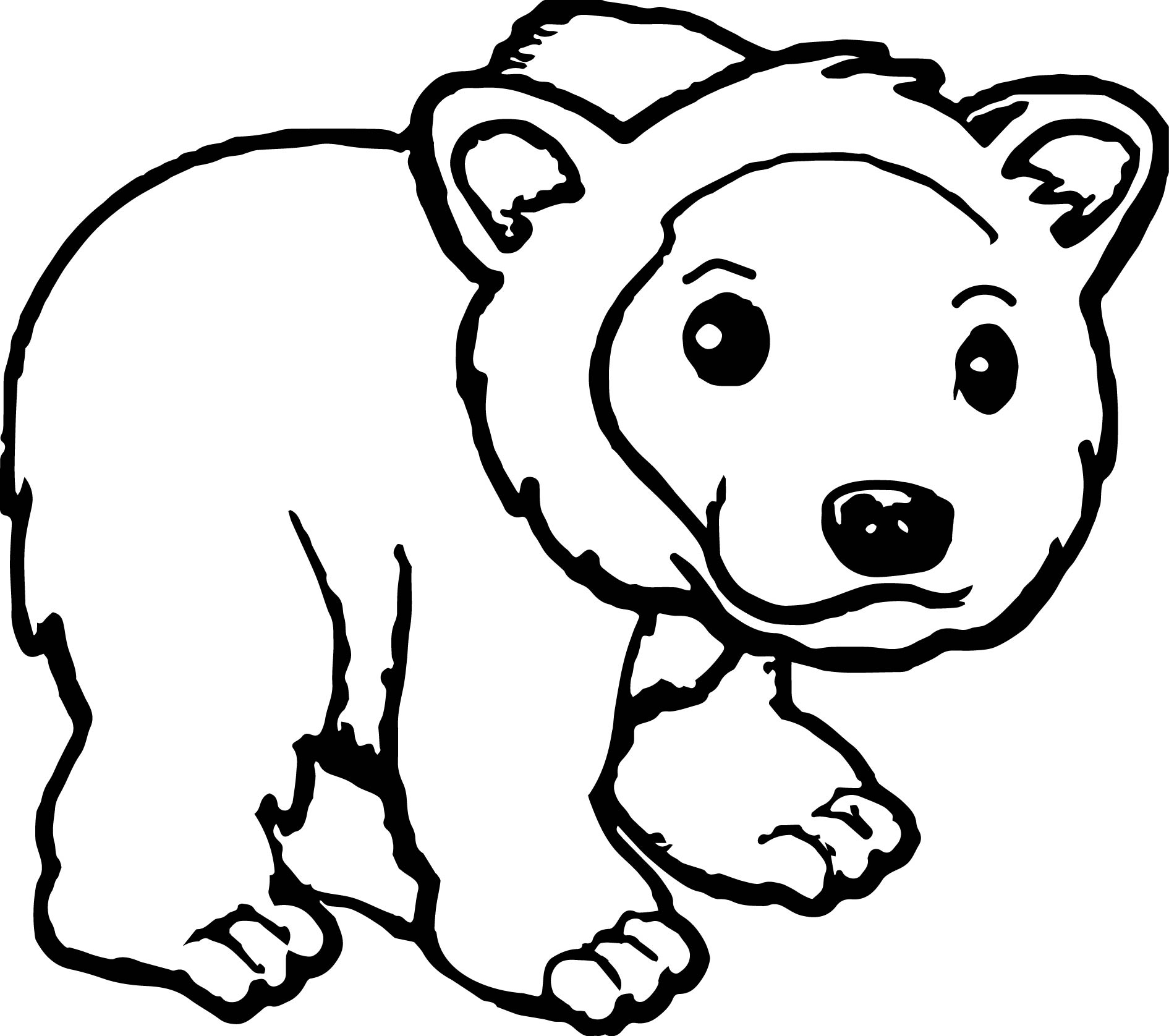 Kodiak Bear coloring #1, Download drawings