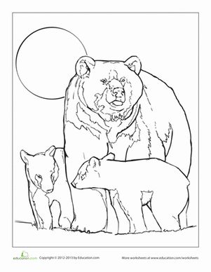 Grizzly Family In Spring coloring #16, Download drawings