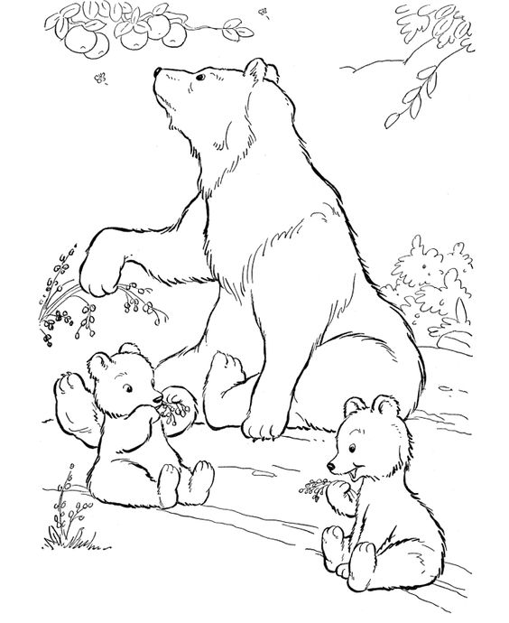 Grizzly Family In Spring coloring #17, Download drawings
