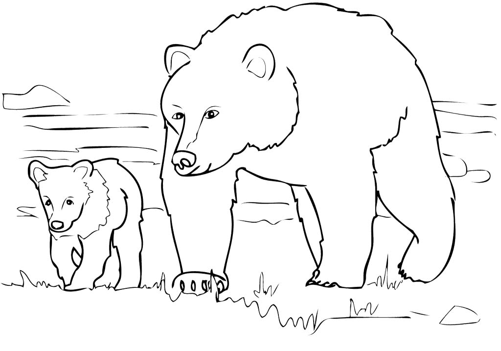 Grizzly Family In Spring coloring #18, Download drawings