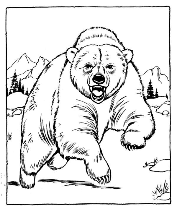 Grizzly Family In Spring coloring #15, Download drawings