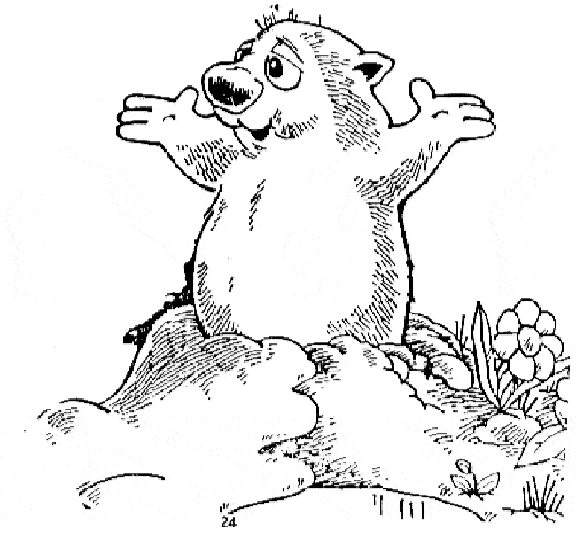 Groundhog coloring #3, Download drawings