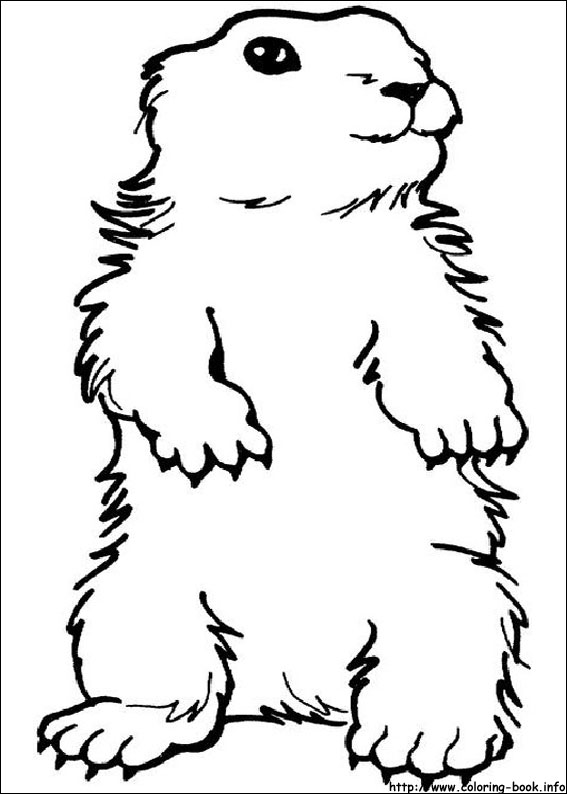 Groundhog coloring #12, Download drawings