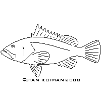 Grouper clipart #9, Download drawings