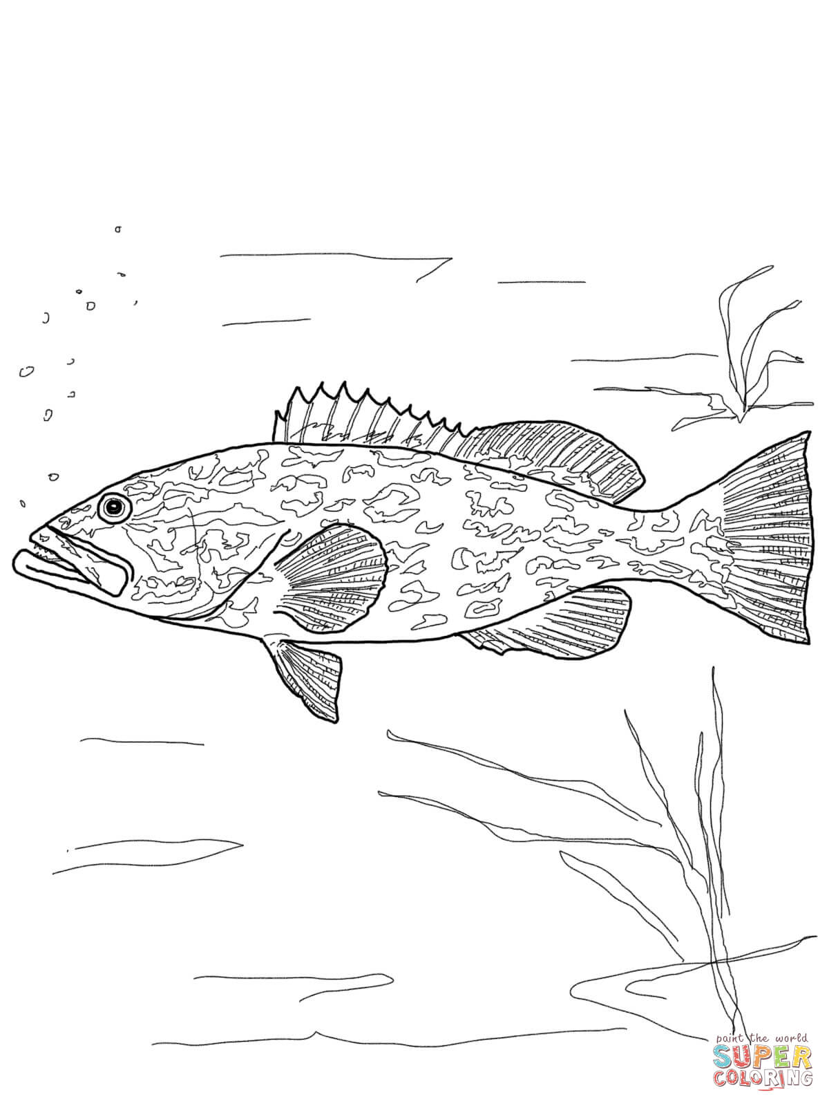 Grouper coloring #7, Download drawings