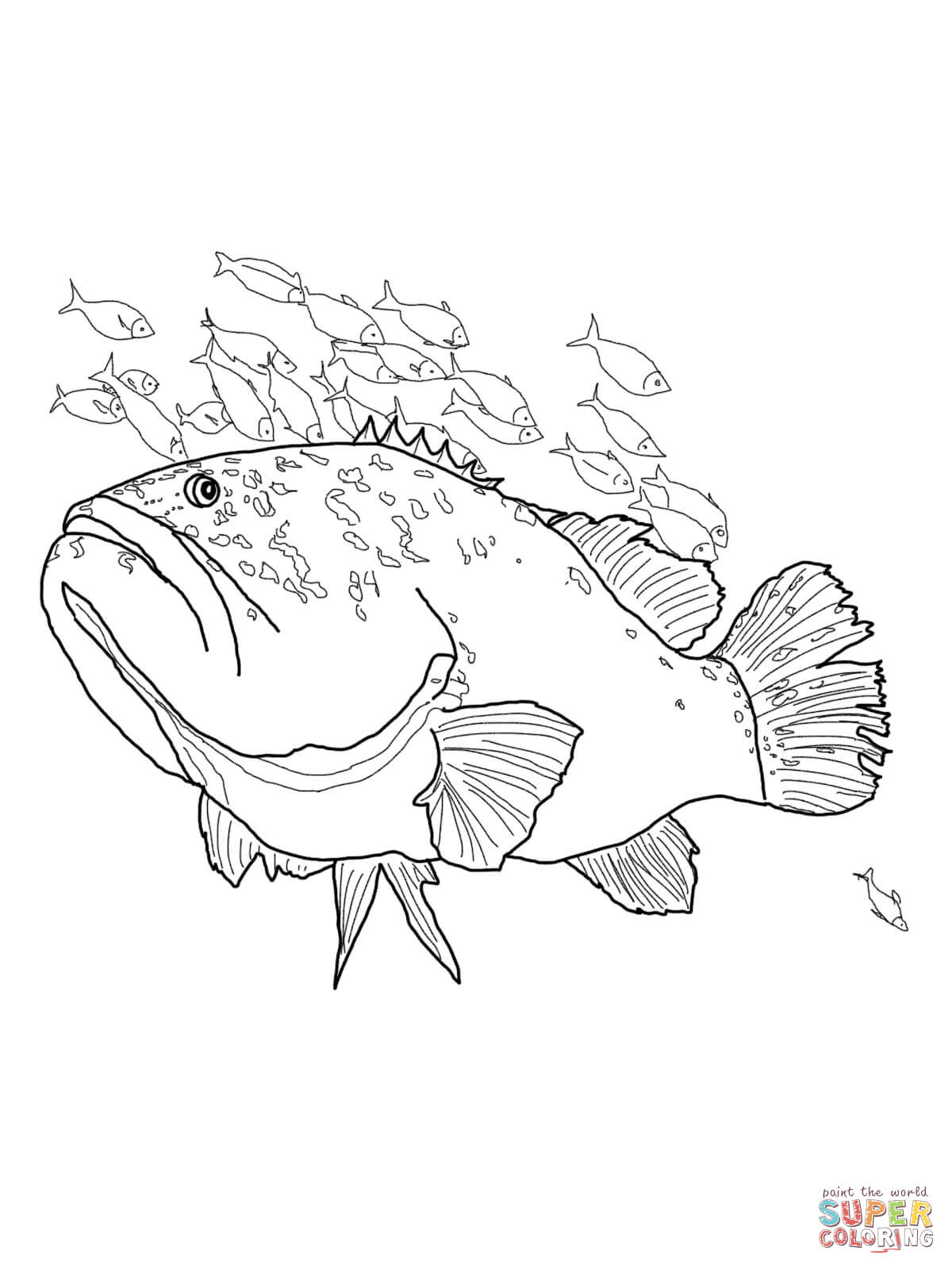 Grouper coloring #8, Download drawings